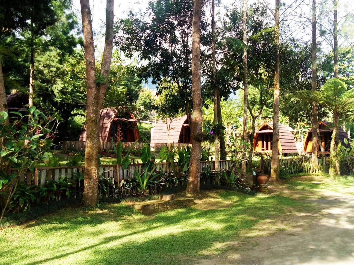 Oak Tree Bali Hotel Bedugul  Bagian luar foto